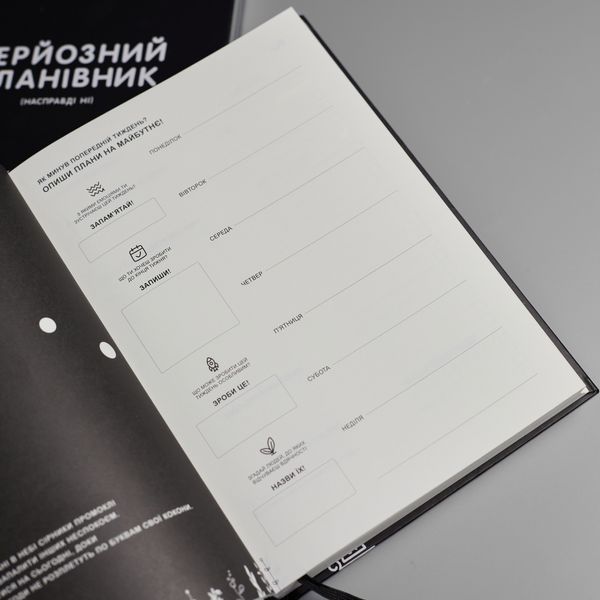 Серйозний Планівник (сіро-блакитний) (трішки засмучений) Серйозний Планівник (насправді ні) - сіро-блакитний (трішки засмучений) фото