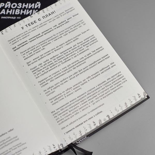 Серйозний Планівник (сіро-блакитний) (трішки засмучений) Серйозний Планівник (насправді ні) - сіро-блакитний (трішки засмучений) фото